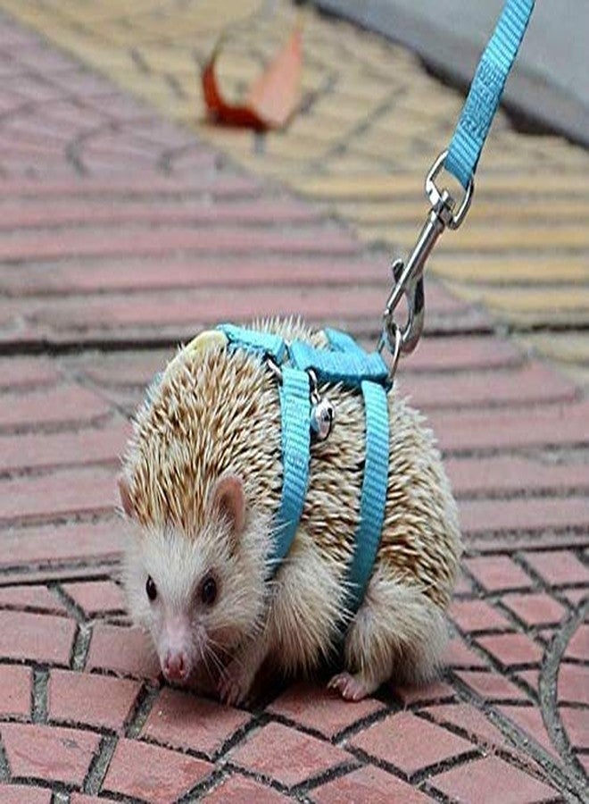 hokmly Adjustable Small Pet Hedgehog Harness for Training Playing Traction Rope (Blue) - Image 1