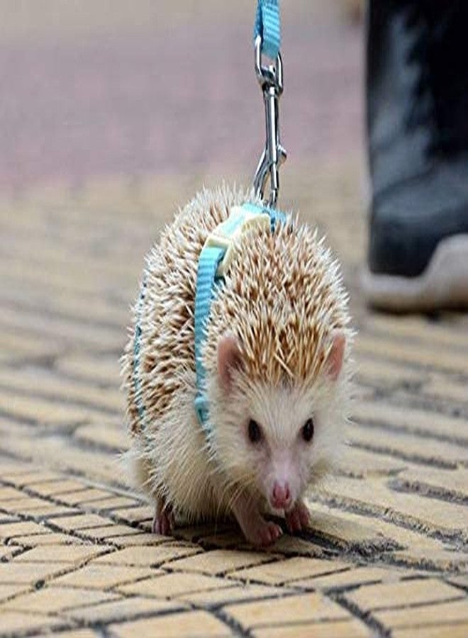 hokmly Adjustable Small Pet Hedgehog Harness for Training Playing Traction Rope (Blue) - Image 3