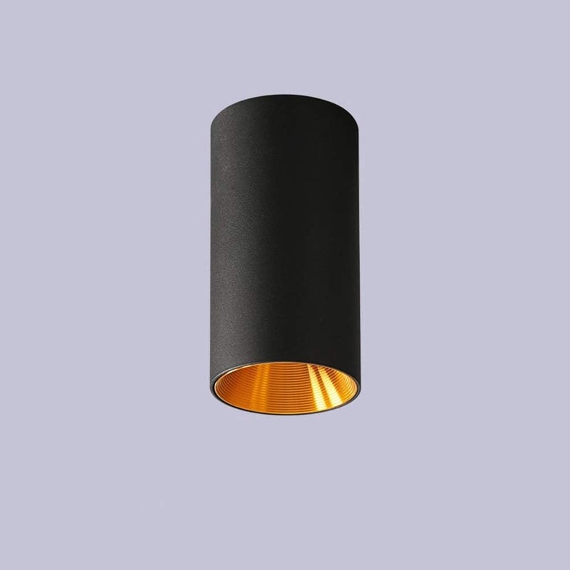 Black Gold 10W Cylinder Downlight Surface Mount White Light For Foyer Balcony Corridor - Image 1