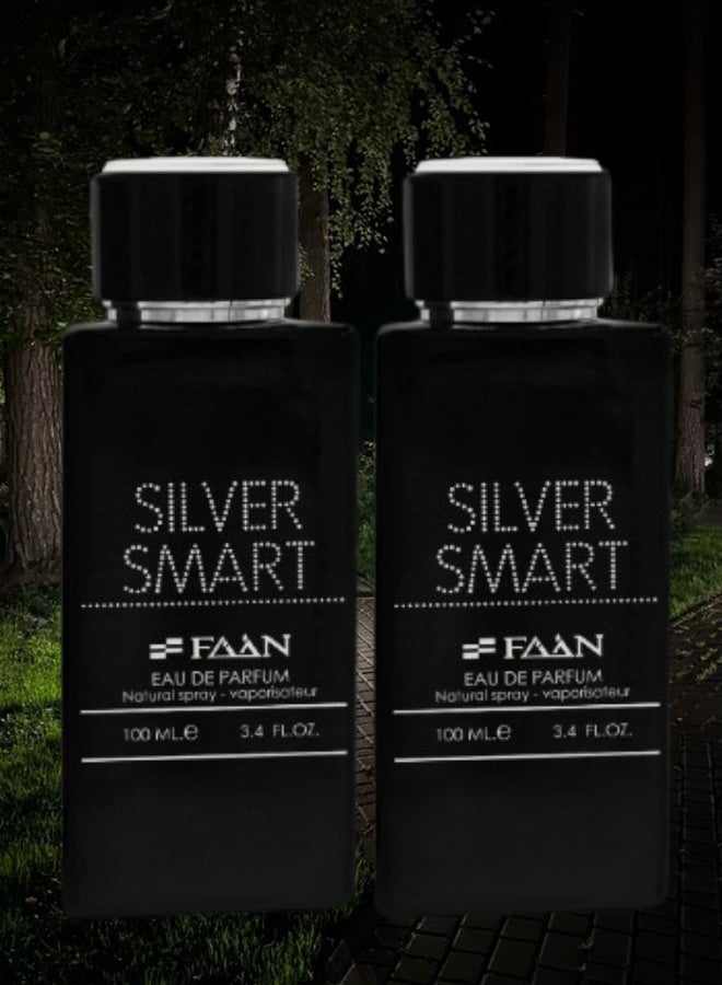 فاان 2 قطع عطر سيلفر سمارت 100مل - Image 1