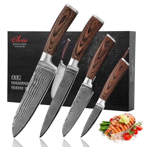 Wakoli EDIB 4-Piece Damascus Knife Set – Professional Kitchen Knife Set, 67-Layer Genuine Damascus Steel, High Carbon Stainless Steel Core (VG10), Ergonomic Pakkawood Handles, In Elegant Gift Box - Image 1