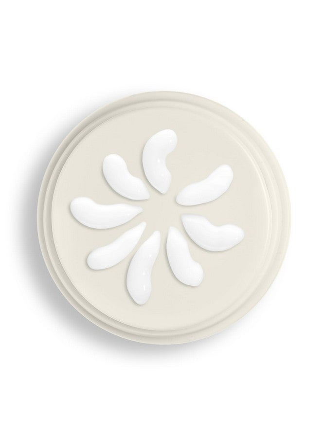 Beekman 1802 Bloom Face Cream, Goat Milk Moisturizer - Hydrates, Nourishes & Restores Skin Barrier - Infused with Epsom Salt & Niacinamide - Safe for All Skin Types - Fragrance-Free, Cruelty-Free - Image 2