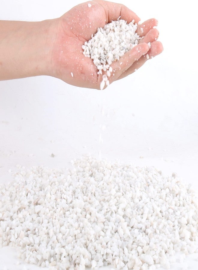 Anothera 3lb White Cactus Pea Gravel Rocks,1/4 Inch Pebbles for Indoor Plants, Natural Succulent Rock and River Rocks Decorative for Aquariums, Vases, Outdoor Gardening, Top Dressing for Potted Plants - Image 1