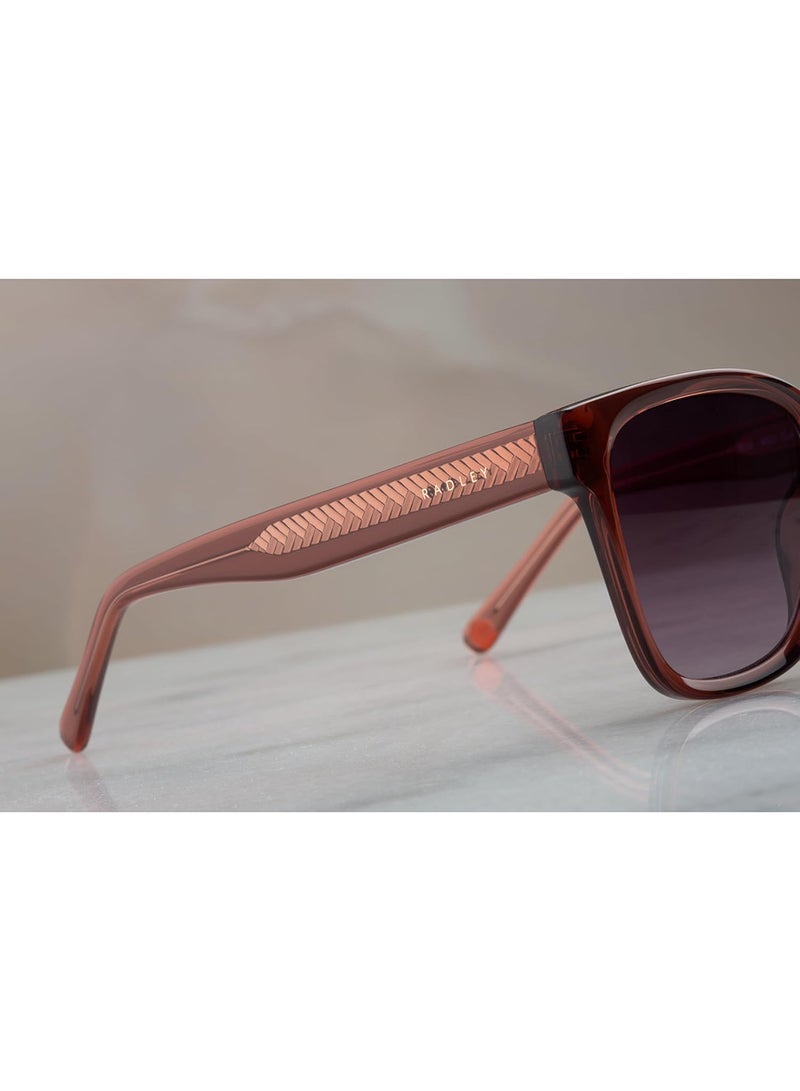 Radley نظارات شمسية نسائية مربعة مستقطبة وردية 53 مم - Image 4