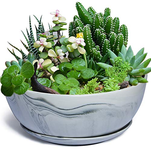 G EPGardening 10Inch Large Planter Marble Pattern Ceramic Succulent Planter Big Plant Pot Succulents Container Flower Pot Indoor Outdoor Decor Plants Not Included