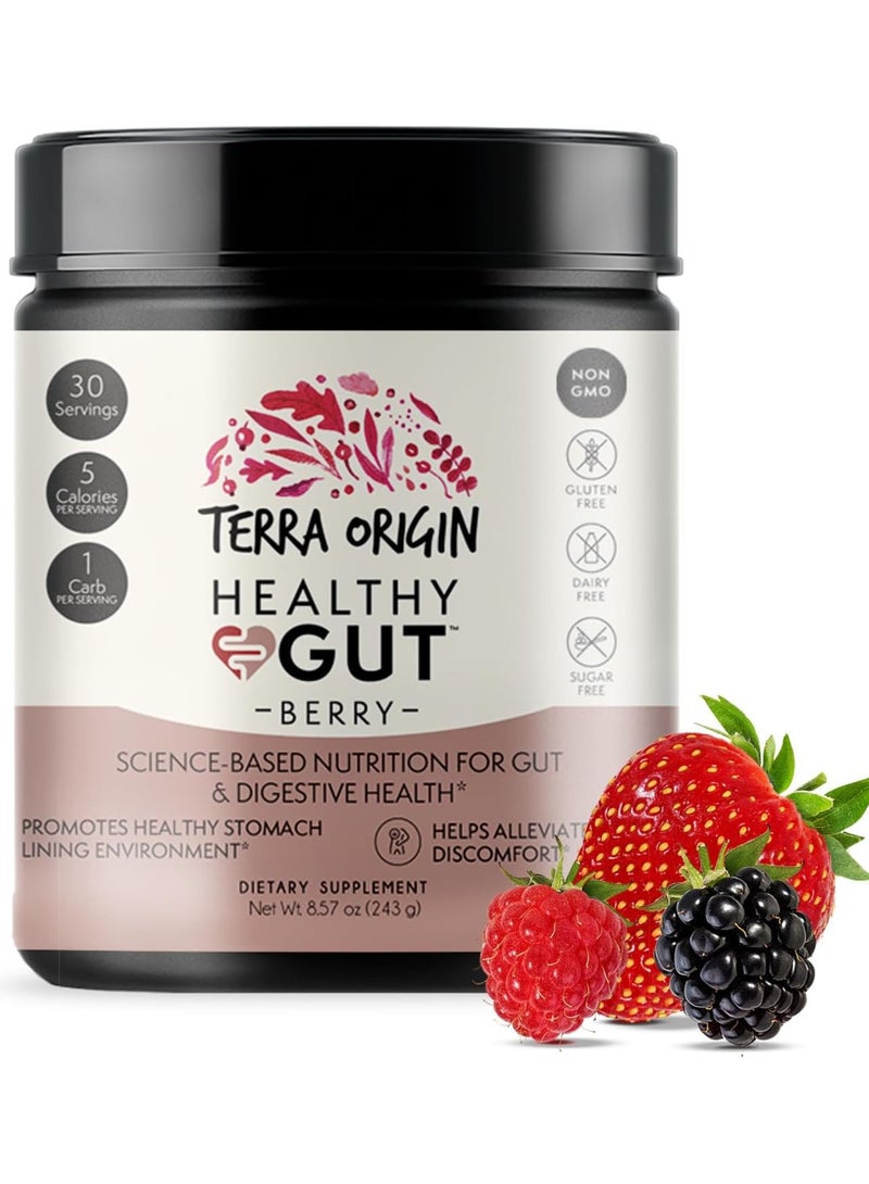Terra Origin Healthy Gut Berry 8.57 oz (243 g) - Image 1