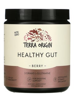 Terra Origin Terra Origin Healthy Gut Berry 8.57 oz (243 g)  - Image 1