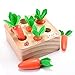 XPIY Montessori Toys for 1 Year Old Carrots Harvest Wooden Baby Toys for 612 Months Educational Shape Sorting Matching Toys for Toddler Fine Motor Skill Development Gift for Kids Birthday Easter - Image 2