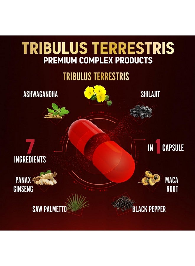 Zolotus Tribulus Terrestris Capsules with Ashwagndha, Panax Ginseng, Saw Palmetto, Maca, Shilajit - 90 Capsules - 3 Months Supply  - Image 3