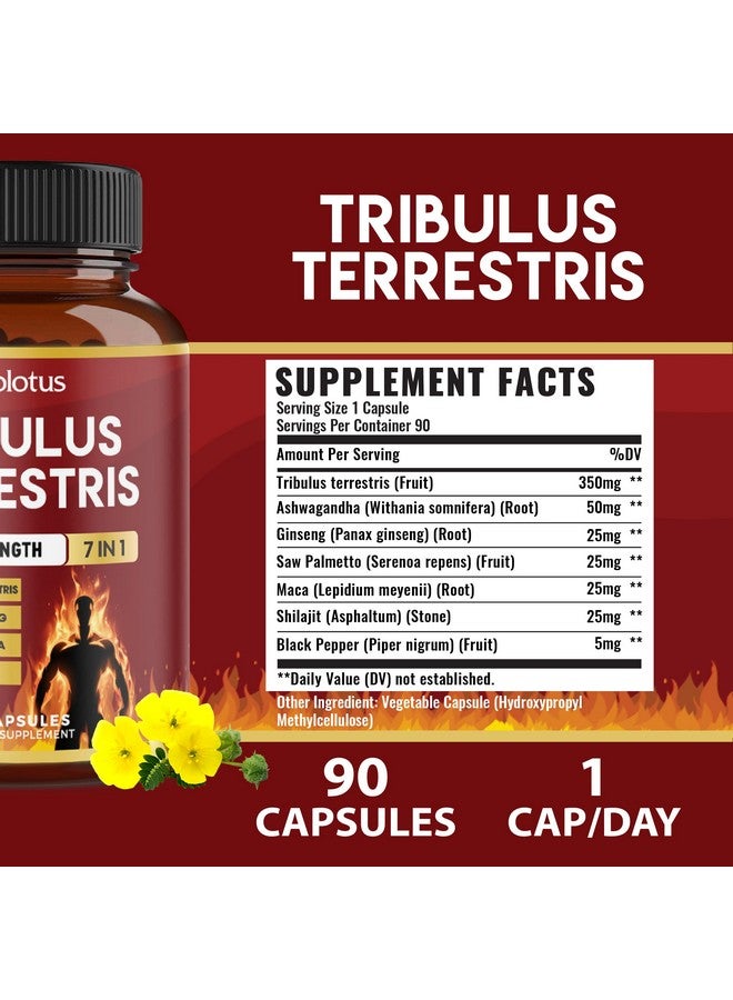 Zolotus Tribulus Terrestris Capsules with Ashwagndha, Panax Ginseng, Saw Palmetto, Maca, Shilajit - 90 Capsules - 3 Months Supply  - Image 2
