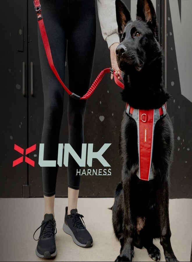 EzyDog X-Link Dog Harness - Reflective and Padded No Pull Dog Harness for Training and Everyday Walks with 2 Leash Attachment Points (Small, Red) - Image 2