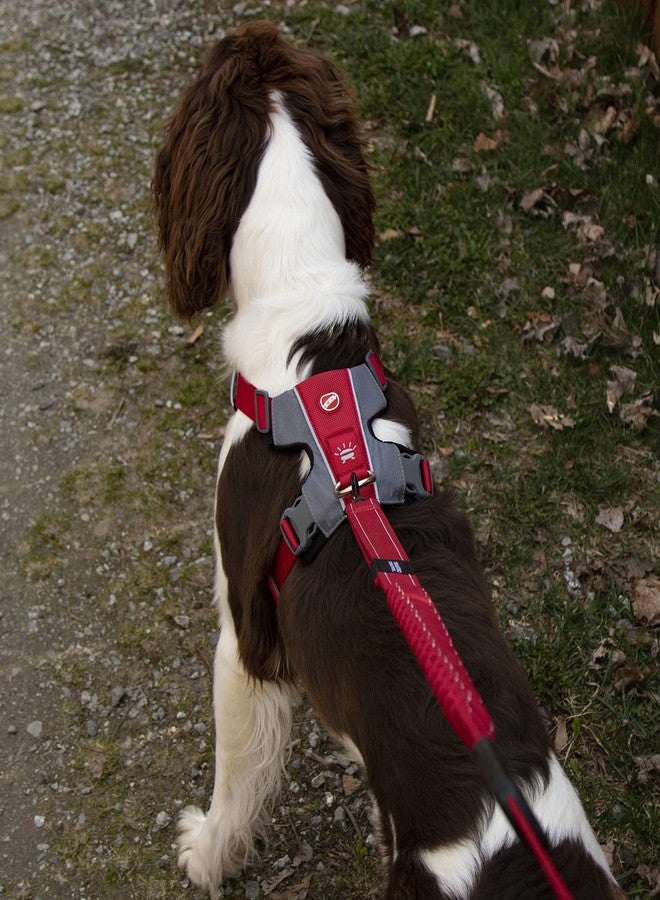 EzyDog X-Link Dog Harness - Reflective and Padded No Pull Dog Harness for Training and Everyday Walks with 2 Leash Attachment Points (Small, Red) - Image 4