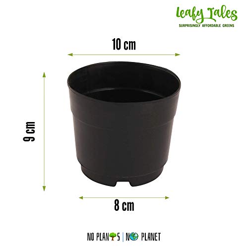 Leafy Tales UV Plastic Round Pots for Plants (6 Inches, Black, Pack of 10) | Lightweight Indoor Outdoor Garden & Balcony Planters - Image 2