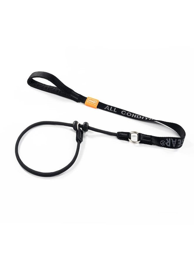 HOWGO Dog Slip Lead Dog Leash,Training Leash, No-Pull Slip Leash and Collar,Heavy Duty&Durable,Padded Handle,for All Breeds(Black, 3.6FT) - Image 1