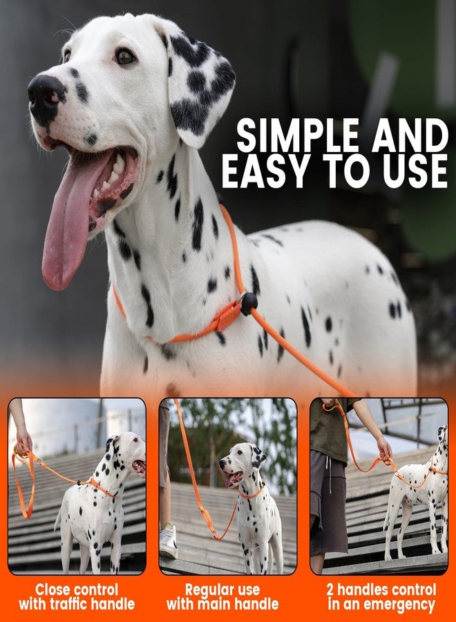 HOWGO Dog Slip Lead Dog Leash,Training Leash, No-Pull Slip Leash and Collar,Heavy Duty&Durable,Padded Handle,for All Breeds(Black, 3.6FT) - Image 2
