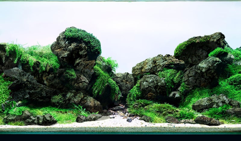 LANDEN Black Icelandic Lava Stone Natural Rocks (18lbs, 3~11 inches,11pcs) for Aquariums, Paludariums, Terrariums, Caves and Rocky Peaks, Mountainous Desert Landscapes - Image 1