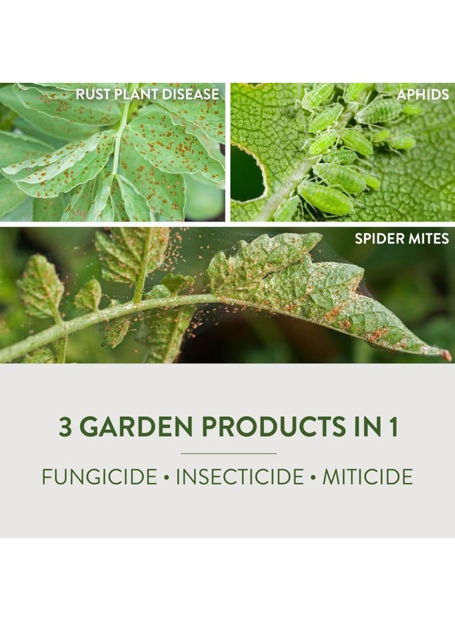 Garden Safe مبيد فطري 3 32 أونصة. جاهز للاستخدام برذاذ مزود بزناد - 1 كل واحد - Image 4