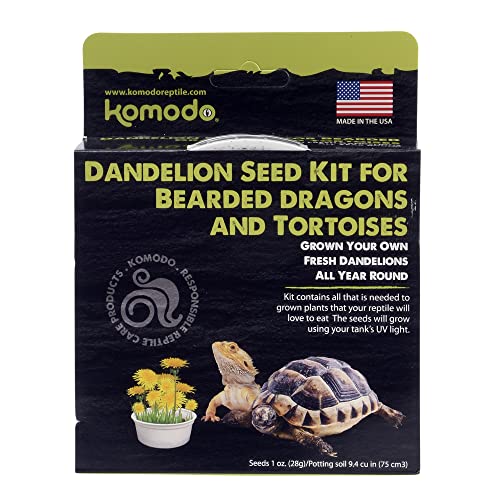 Komodo Grow Your Own Dandelion Kit | Grows Year Round | Tasty Snacks for Bearded Dragons and Tortoises| Everything Needed to Grow Fresh Dandalions - Image 5