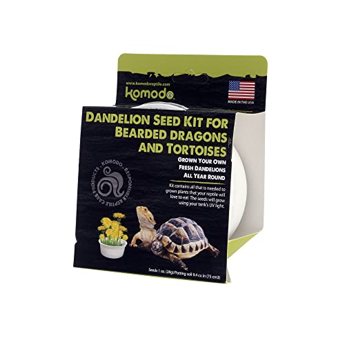 Komodo Grow Your Own Dandelion Kit | Grows Year Round | Tasty Snacks for Bearded Dragons and Tortoises| Everything Needed to Grow Fresh Dandalions - Image 2