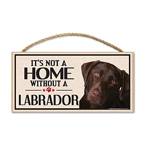 Imagine This Wood Sign for Chocolate Lab Dog Breeds - Image 5
