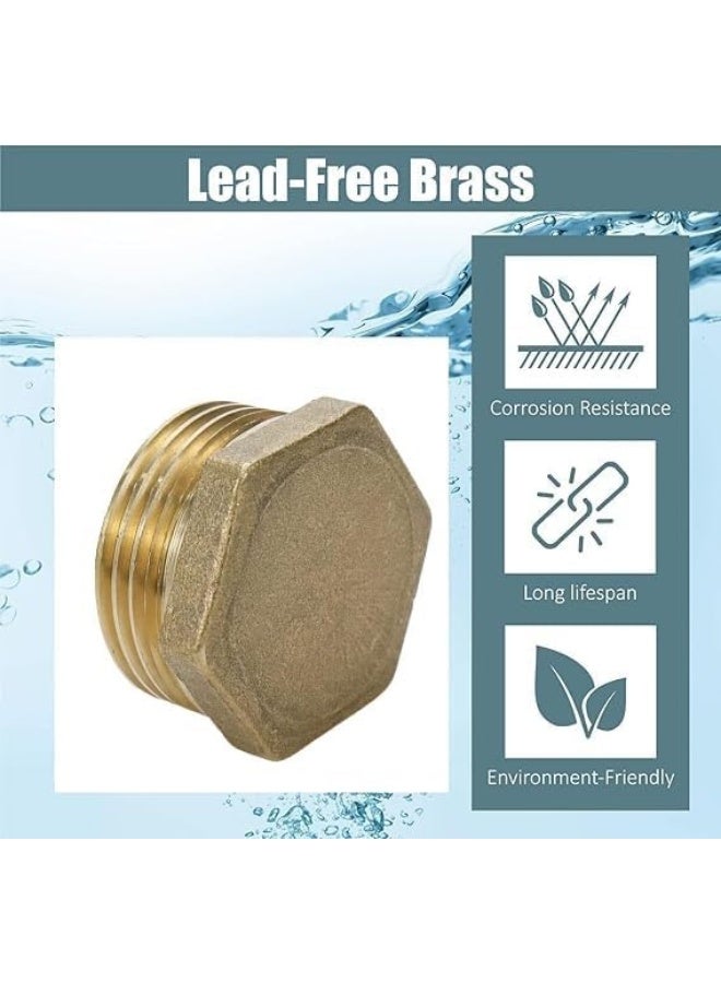 Royal Apex 2Pcs Set Brass Multi Purpose Hose Fittings With Bsp Thread For Plumbing Gas Hot Water Pipe Connector Pneumatic Etc Male Endcap 3/4 Inch - Image 4