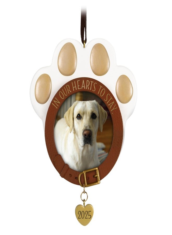 Hallmark Keepsake Christmas Ornament 2025, in Our Hearts to Stay 2025 Photo Frame, Pet Gifts - Image 1