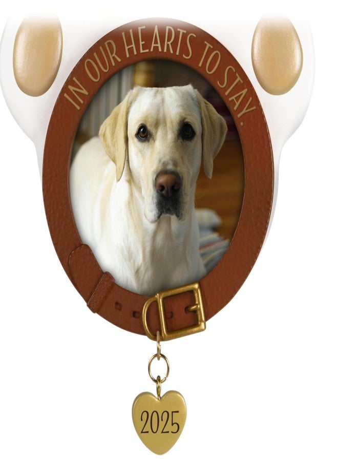 Hallmark Keepsake Christmas Ornament 2025, in Our Hearts to Stay 2025 Photo Frame, Pet Gifts - Image 4