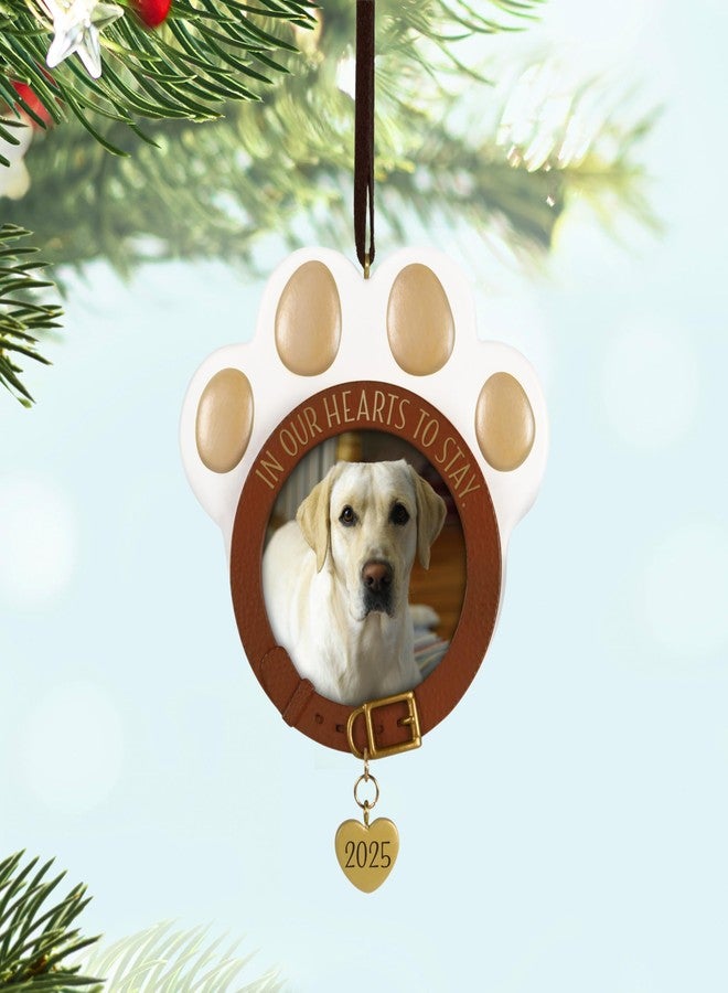 Hallmark Keepsake Christmas Ornament 2025, in Our Hearts to Stay 2025 Photo Frame, Pet Gifts - Image 2