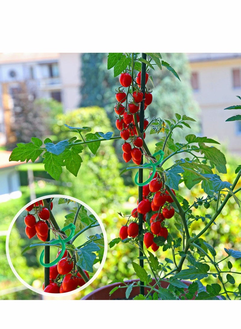 كاست ويف Plant Support Clips, 100PCS Garden Tomato Vegetables Vine Flower Locks for Securing Climbing Plants, Green - Image 4