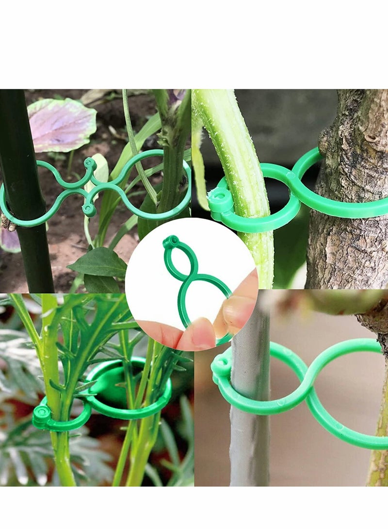 كاست ويف Plant Support Clips, 100PCS Garden Tomato Vegetables Vine Flower Locks for Securing Climbing Plants, Green - Image 5