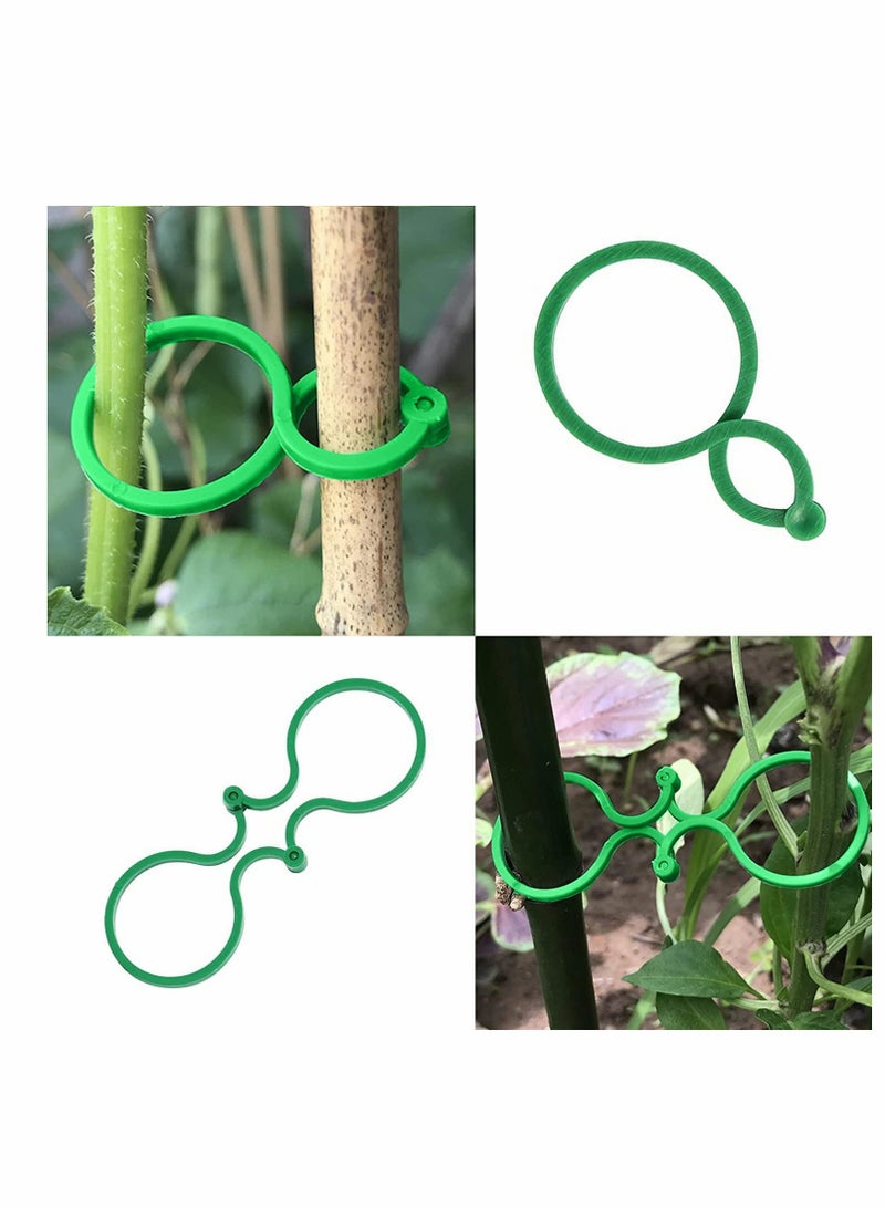 كاست ويف Plant Support Clips, 100PCS Garden Tomato Vegetables Vine Flower Locks for Securing Climbing Plants, Green - Image 2