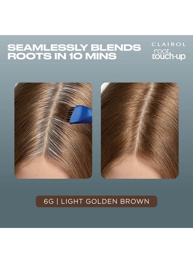 كلايرول صبغة الشعر الدائمة Clairol Root Touch-Up من Nice'n Easy، لون شعر بني ذهبي فاتح 6 جرام، عبوة من قطعتين - Image 3