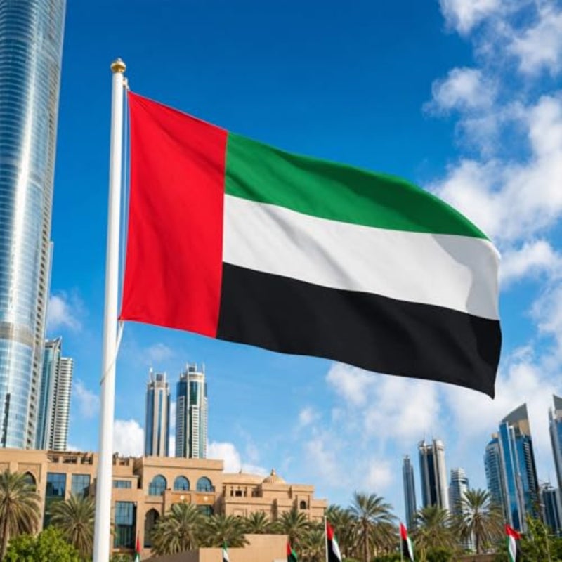 علم الإمارات العربية المتحدة المتقدم 90x150 سم 3x5 قدم - علم الإمارات العربية المتحدة كبير للعرض الداخلي والخارجي - حجم كبير متين مع حلقات نحاسية لديكور اليوم الوطني - Image 1