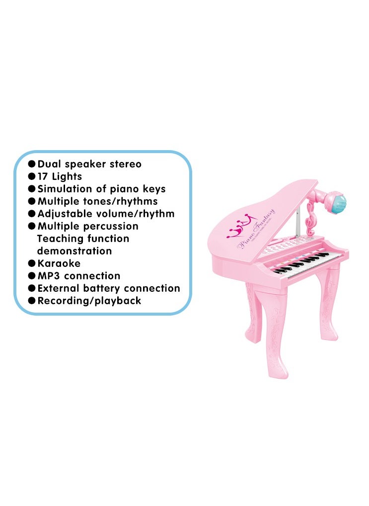 Toy Box - Educational Piano Toy 25 Keys Piano Keyboard Kids Musical Instrument Set Best Gift for Kids Including USB Cable and Microphone - Image 1