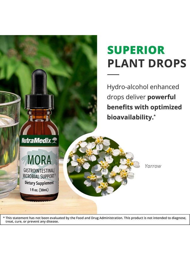 Nutramedix - Yarrow Drops Herbal Inflammatory Response Microbial & Gastrointestinal Support Supplement Mora Liquid Tincture With Yarrow Flower Blackberry & Capirona Herbs (1Oz / 30Ml) - Image 1