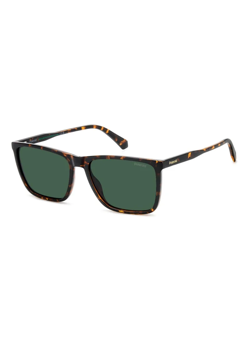 بولارويد Polaroid Sunglasses PLD 4180/S