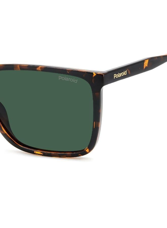 بولارويد نظارات شمسية بولارويد - Image 5