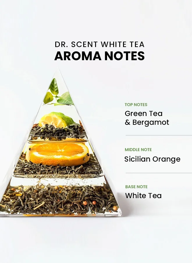 Dr Scent Breeze of Joy, Diffuser Aroma Oil White Tea | Tranquil Blend of Green Tea, Bergamot, Sicilian Orange, and White Tea Notes for a Serene Ambiance (170ml)