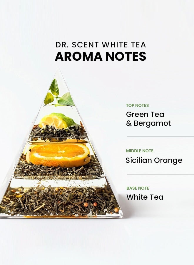 Dr Scent Breeze of Joy, Diffuser Aroma Oil White Tea | Tranquil Blend of Green Tea, Bergamot, Sicilian Orange, and White Tea Notes for a Serene Ambiance (170ml) - Image 2