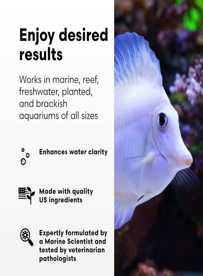 Brightwell Aquatics RedoxIclean Organic Waste Cleaner and Redox Enhancer Improves Water Clarity Filtration and Breakdown in Freshwater Marine Aquariums, 250 ml - Image 3