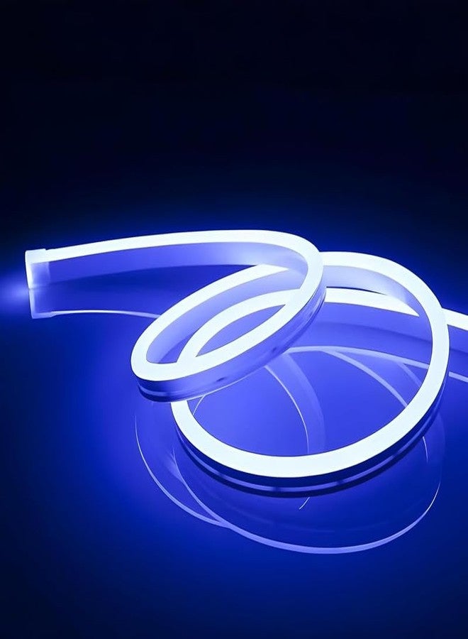 BUDWILL 5-Meter Blue Neon Light Strip with 600 LEDs and 12V Adapter – Ideal for Wall Decorations, Parties, Celebrations, Bars, and Custom Neon Displays (Pack of 1) - Image 4