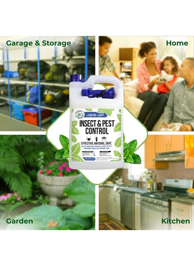 Mighty Mint - Gallon (128 oz) Insect and Pest Control Peppermint Oil - Natural Spray for Spiders, Ants, and More - Image 1