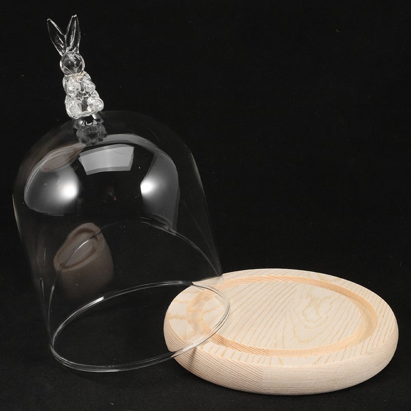 1 Set of Unique Shape Display Tray With Glass Dome Base Household Display Plate - Image 1