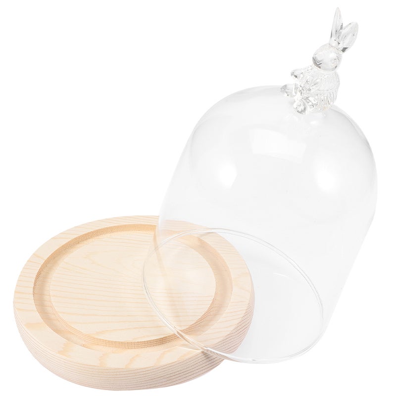 1 Set of Unique Shape Display Tray With Glass Dome Base Household Display Plate - Image 4