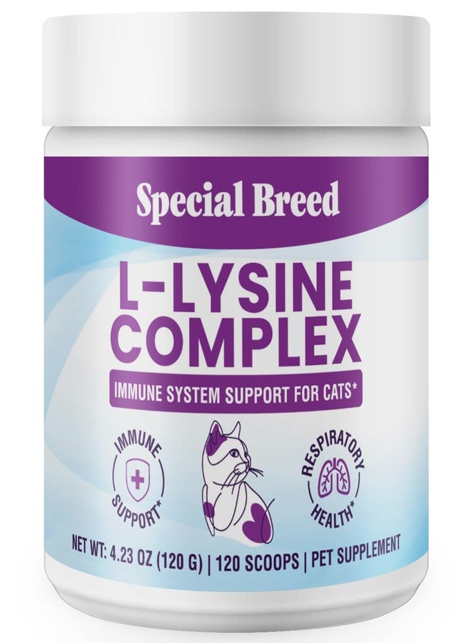 Special Breed L-Lysine for Cats and Kittens – Cat Supplement for Immune, Respiratory & Eye Support – Lysine Powder with Prebiotics, Bone Broth, Krill, & DMG for Sneezing, Vision, Immunity – 120 Scoops - Image 1