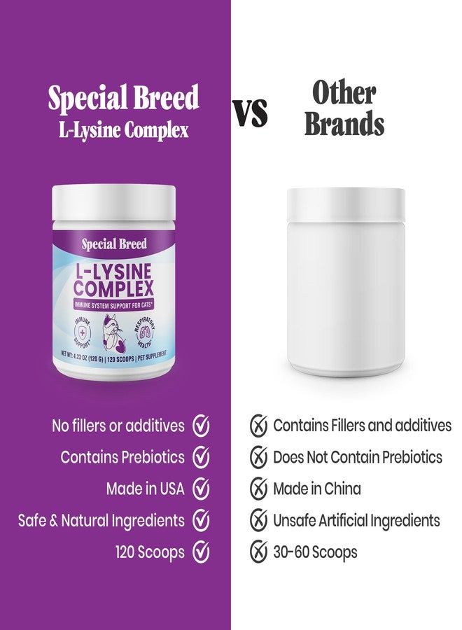 Special Breed L-Lysine for Cats and Kittens – Cat Supplement for Immune, Respiratory & Eye Support – Lysine Powder with Prebiotics, Bone Broth, Krill, & DMG for Sneezing, Vision, Immunity – 120 Scoops - Image 4