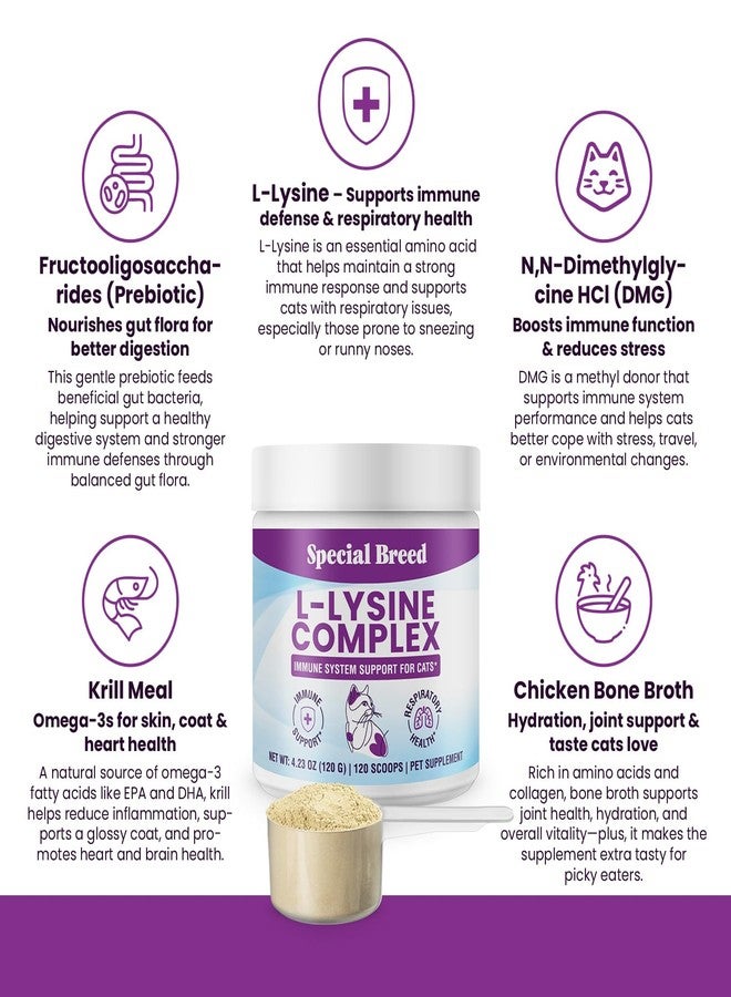 Special Breed L-Lysine for Cats and Kittens – Cat Supplement for Immune, Respiratory & Eye Support – Lysine Powder with Prebiotics, Bone Broth, Krill, & DMG for Sneezing, Vision, Immunity – 120 Scoops - Image 3