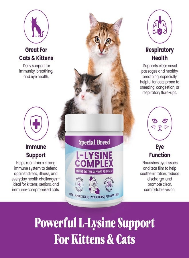 Special Breed L-Lysine for Cats and Kittens – Cat Supplement for Immune, Respiratory & Eye Support – Lysine Powder with Prebiotics, Bone Broth, Krill, & DMG for Sneezing, Vision, Immunity – 120 Scoops - Image 2