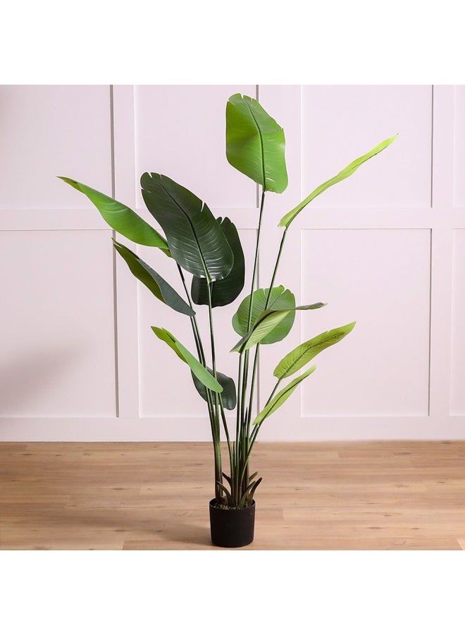 DANUBE HOME شجرة موز مزيفة نباتات مثالية للداخل والخارج شرفة منزل مكتب ديكور غرفة المعيشة شجرة موز 180 سم - Image 1