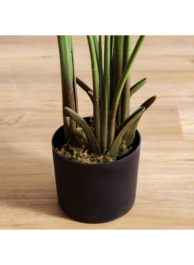 DANUBE HOME شجرة موز مزيفة نباتات مثالية للداخل والخارج شرفة منزل مكتب ديكور غرفة المعيشة شجرة موز 180 سم - Image 3